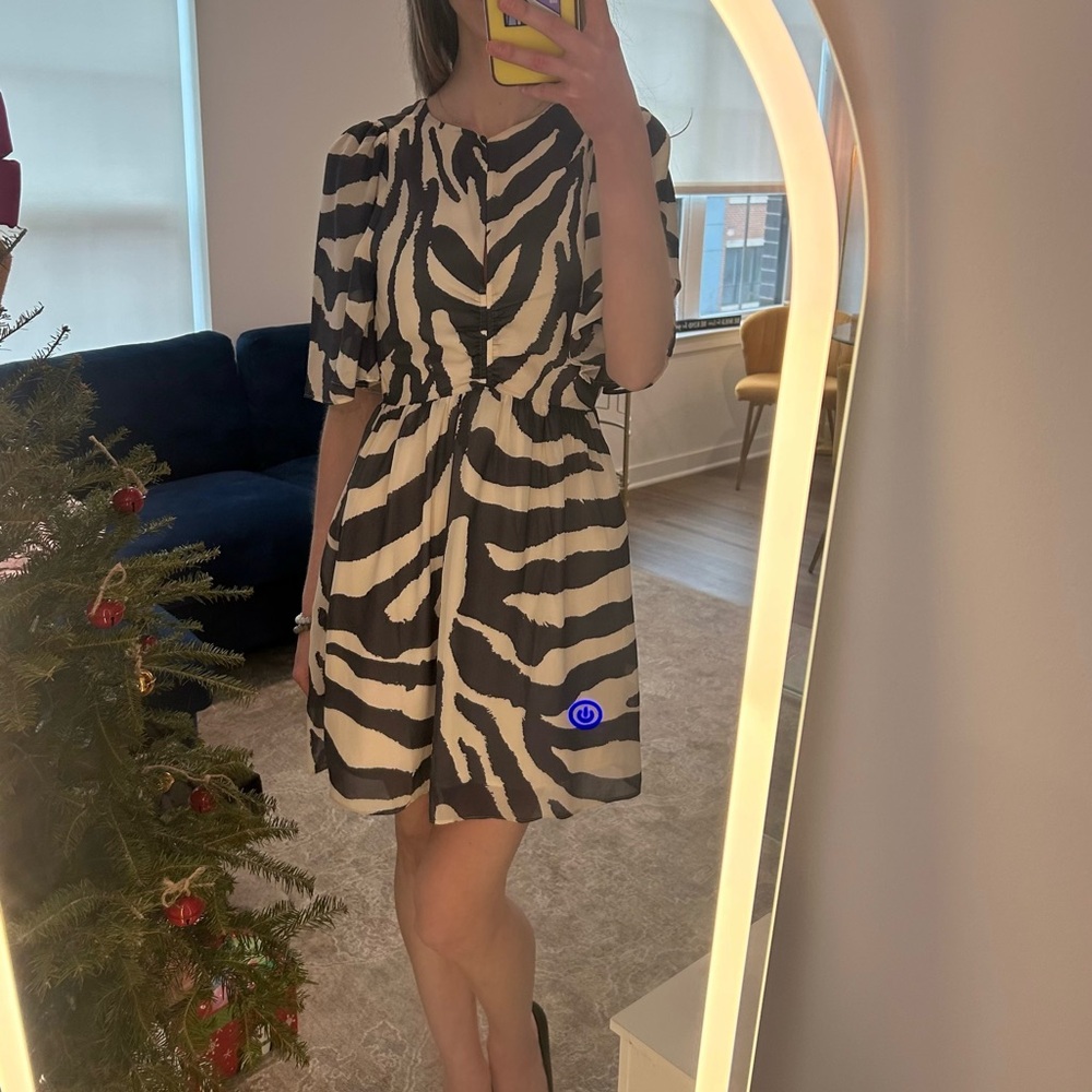 Zebra Pattern H&M Brunch / Shower Dress - Size Small